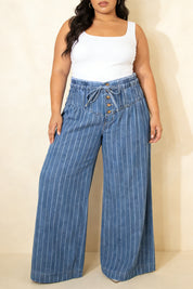 Sky Blue Stripe Plus Size Buttoned Loose Wide Leg Denim Pants
