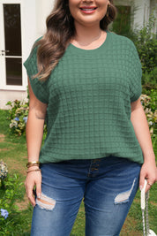 Mist Green Plus Size Solid Color Textured Knit Short Sleeve Sweater