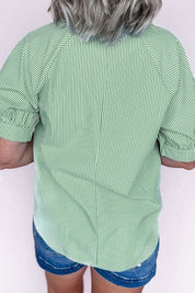 Mint Green Plus Size Striped Print Collar V Neck Short Sleeve Blouse