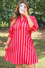 Rose Stripe Frilled Collar Button Neck Short Sleeve Curvy Mini Dress