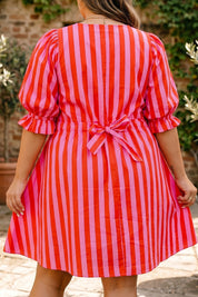 Rose Stripe Frilled Collar Button Neck Short Sleeve Curvy Mini Dress