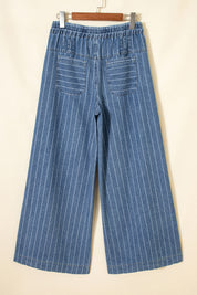 Sky Blue Stripe Plus Size Buttoned Loose Wide Leg Denim Pants