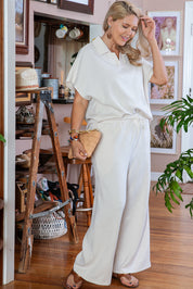 Beige Plus Size Textured Collared Top and Pants Set